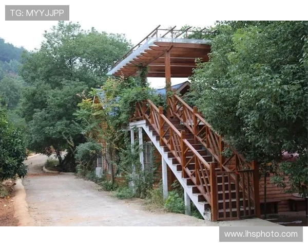 轻松享受娱乐时光:凯发旗舰厅全站登录平台的便捷服务 轻松享受娱乐时光:凯发旗舰厅全站登录平台的便捷服务