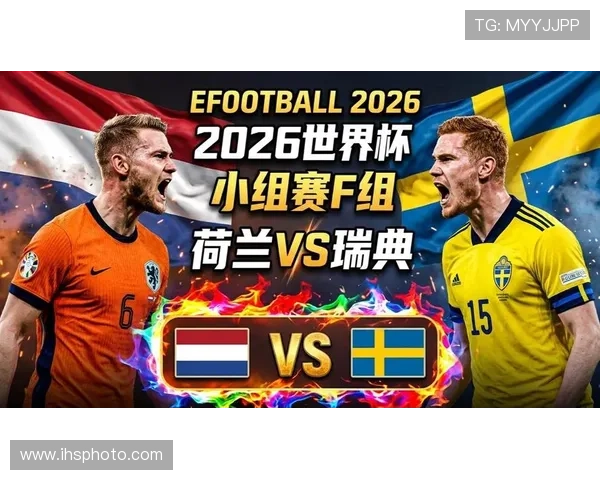 2026年世界杯荷兰与瑞典主办城市的安全保障措施及赛事期间的安保策略分析