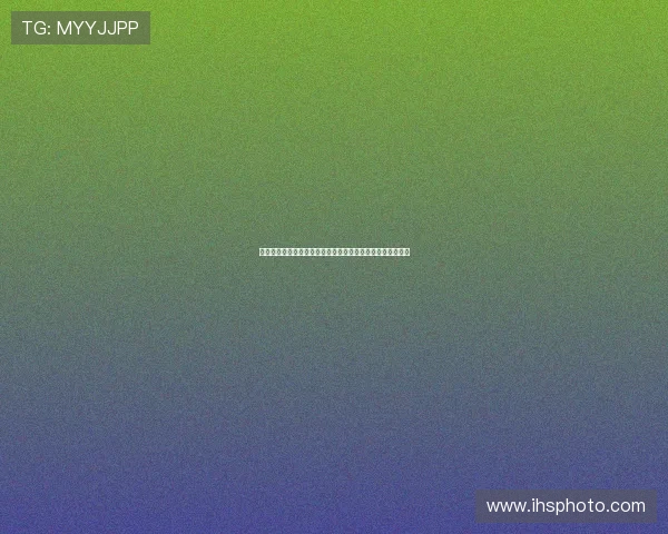 巴西队在世界杯中的精彩表现与苏格兰队的防守策略全面解析