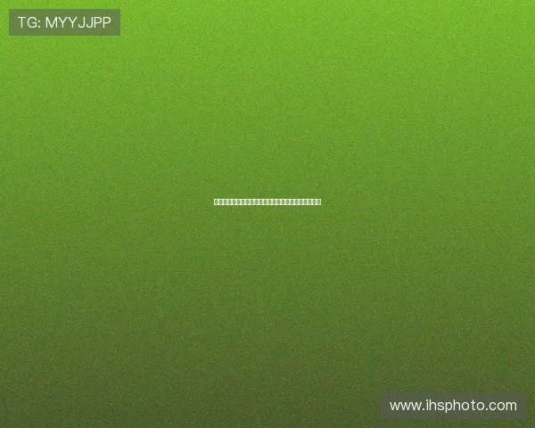 巴西对摩洛哥比赛球场天气情况详解及对比赛影响分析